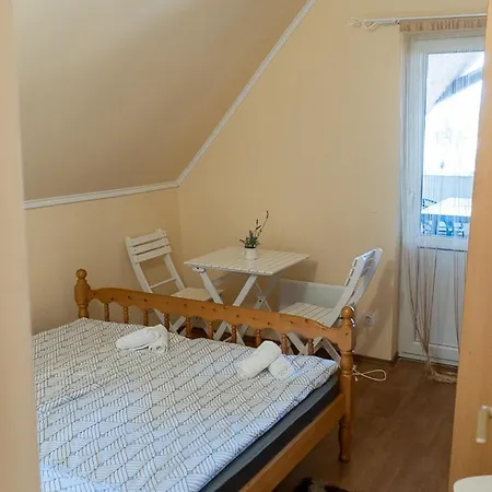 Forro Kutya Panzio Szerencs