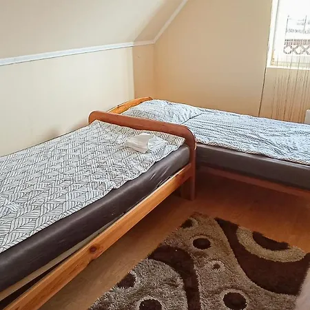 Forro Kutya Panzio *